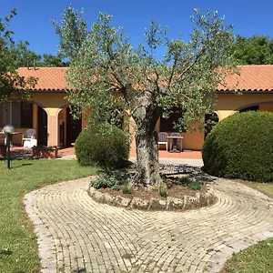 Il Girasole Alloggio per agriturismo